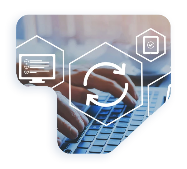 Software Development